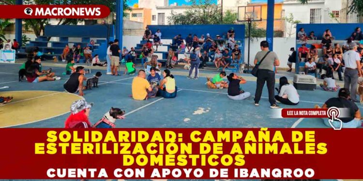 SOLIDARIDAD: CAMPAÑA DE ESTERILIZACIÓN DE ANIMALES DOMÉSTICOS CUENTA CON APOYO DE IBANQROO