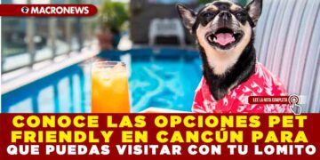 CONOCE LAS OPCIONES PET FRIENDLY EN CANCÚN PARA QUE PUEDAS VISITAR CON TU LOMITO