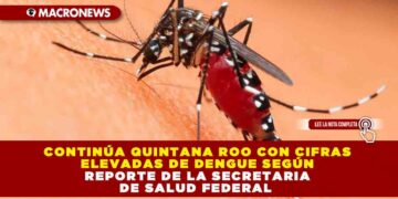 CONTINÚA QUINTANA ROO CON CIFRAS ELEVADAS DE DENGUE SEGÚN REPORTE DE LA SECRETARIA DE SALUD FEDERAL