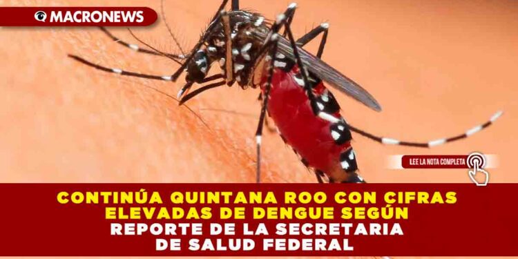 CONTINÚA QUINTANA ROO CON CIFRAS ELEVADAS DE DENGUE SEGÚN REPORTE DE LA SECRETARIA DE SALUD FEDERAL