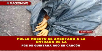 Pollo muerto es aventado a la entrada de la FGE de Quintana Roo en Cancún