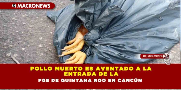 Pollo muerto es aventado a la entrada de la FGE de Quintana Roo en Cancún