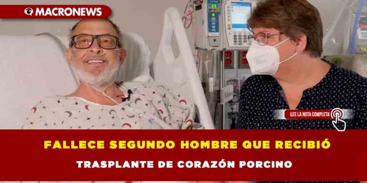 Fallece segundo hombre que recibió trasplante de corazón porcino