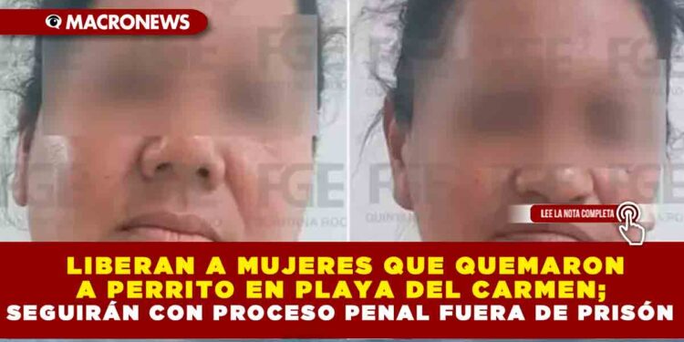 LIBERAN A MUJERES QUE QUEMARON A PERRITO EN PLAYA DEL CARMEN; SEGUIRÁN CON PROCESO PENAL FUERA DE PRISÓN