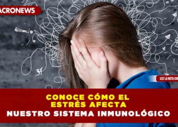 Conoce cómo el estrés afecta nuestro sistema inmunológico