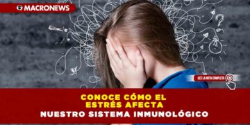 Conoce cómo el estrés afecta nuestro sistema inmunológico