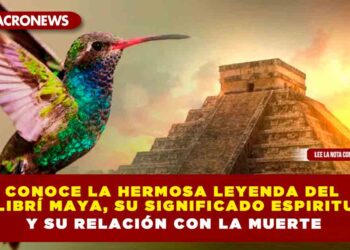 Conoce la hermosa leyenda del colibrí maya, su significado espiritual y su relación con la muerte