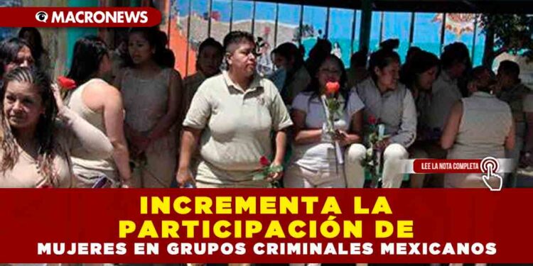 Incrementa la participación de mujeres en grupos criminales mexicanos