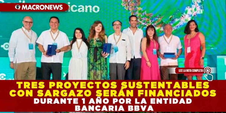 TRES PROYECTOS SUSTENTABLES CON SARGAZO SERÁN FINANCIADOS DURANTE 1 AÑO POR LA ENTIDAD BANCARIA BBVA