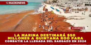 LA MARINA DESTINARÁ $50 MILLONES A QUINTANA ROO PARA COMBATIR LA LLEGADA DEL SARGAZO EN 2024