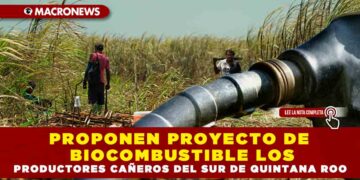Proponen proyecto de biocombustible los productores cañeros del sur de Quintana Roo