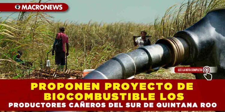 Proponen proyecto de biocombustible los productores cañeros del sur de Quintana Roo