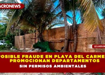Posible fraude en Playa del Carmen: Promocionan departamentos sin permisos ambientales