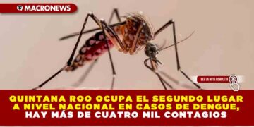 QUINTANA ROO OCUPA EL SEGUNDO LUGAR A NIVEL NACIONAL EN CASOS DE DENGUE, HAY MÁS DE CUATRO MIL CONTAGIOS