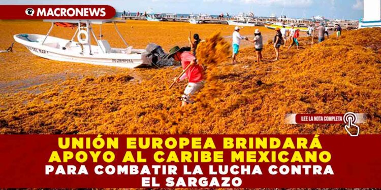 UNIÓN EUROPEA BRINDARÁ APOYO AL CARIBE MEXICANO PARA COMBATIR LA LUCHA CONTRA EL SARGAZO