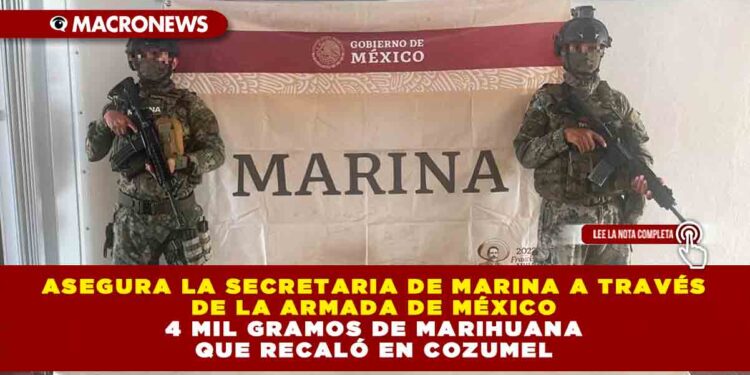 ASEGURA LA SECRETARIA DE MARINA A TRAVÉS DE LA ARMADA DE MÉXICO 4 MIL GRAMOS DE MARIHUANA QUE RECALÓ EN COZUMEL