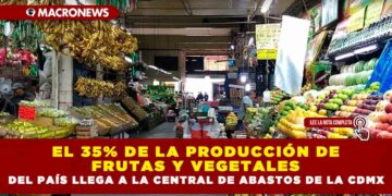 El 35% de la producción de frutas y vegetales del país llega a la Central de Abastos de la CDMX