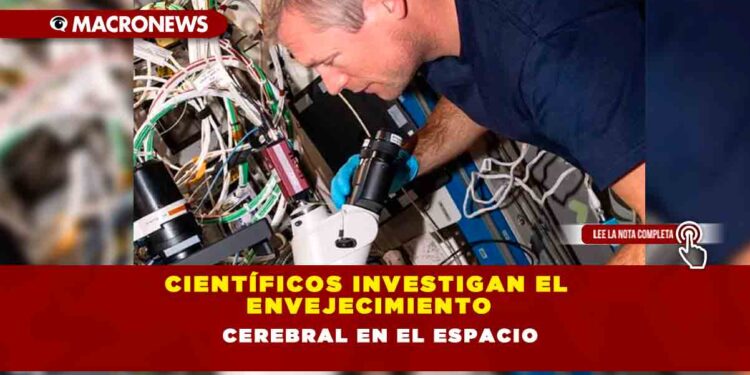 Científicos investigan el envejecimiento cerebral en el espacio