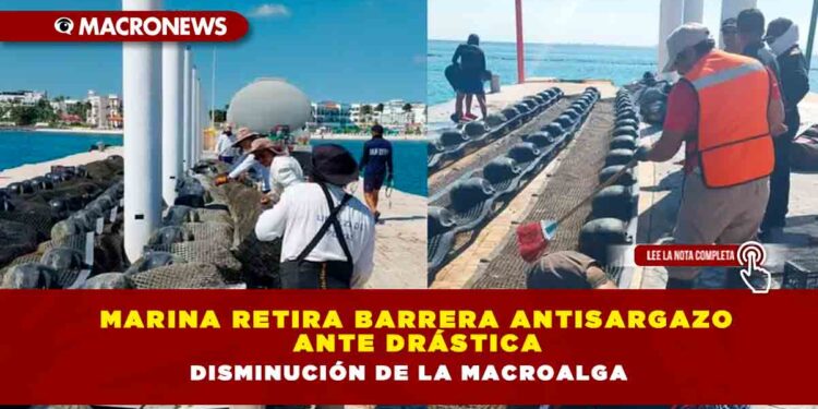 Marina retira barrera antisargazo ante drástica disminución de la macroalga
