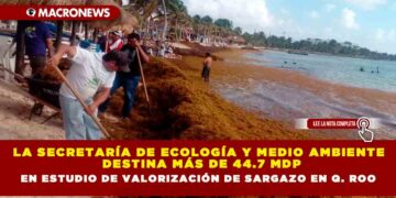 La Secretaría de Ecología y Medio Ambiente  destina más de 44.7 MDP en estudio de valorización de sargazo en Q. Roo