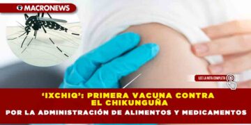 ‘Ixchiq’: primera vacuna contra el chikunguña es aprobada en EU por la Administración de Alimentos y Medicamentos