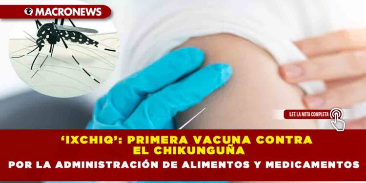 ‘Ixchiq’: primera vacuna contra el chikunguña es aprobada en EU por la Administración de Alimentos y Medicamentos