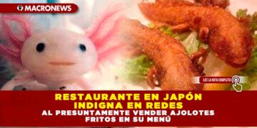 RESTAURANTE EN JAPÓN INDIGNA EN REDES AL PRESUNTAMENTE VENDER AJOLOTES FRITOS EN SU MENÚ