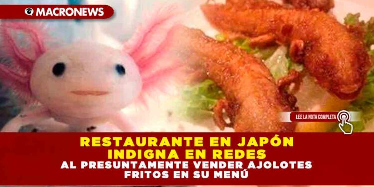 RESTAURANTE EN JAPÓN INDIGNA EN REDES AL PRESUNTAMENTE VENDER AJOLOTES FRITOS EN SU MENÚ