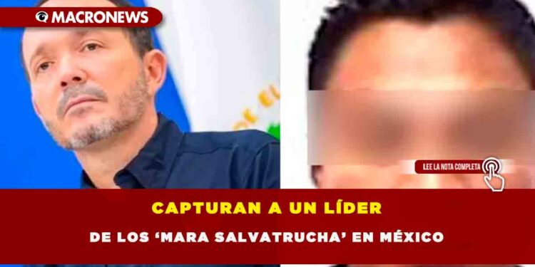 CAPTURAN A UN LÍDER DE LOS ‘MARA SALVATRUCHA’ EN MÉXICO