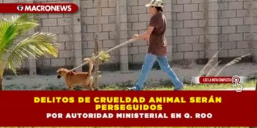 DELITOS DE CRUELDAD ANIMAL SERÁN PERSEGUIDOS POR AUTORIDAD MINISTERIAL EN Q. ROO