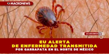EU ALERTA DE ENFERMEDAD TRANSMITIDA POR GARRAPATA EN EL NORTE DE MÉXICO