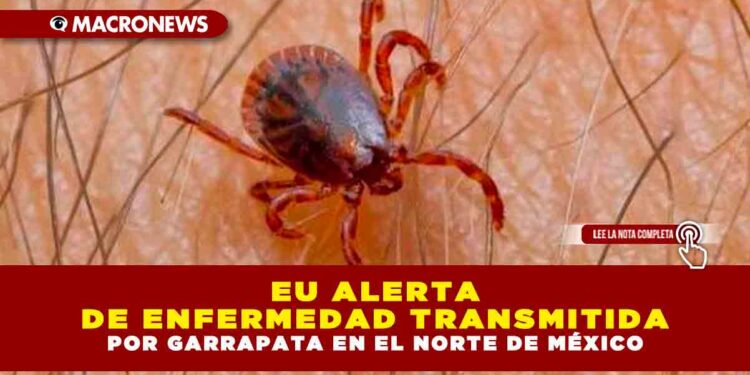 EU ALERTA DE ENFERMEDAD TRANSMITIDA POR GARRAPATA EN EL NORTE DE MÉXICO