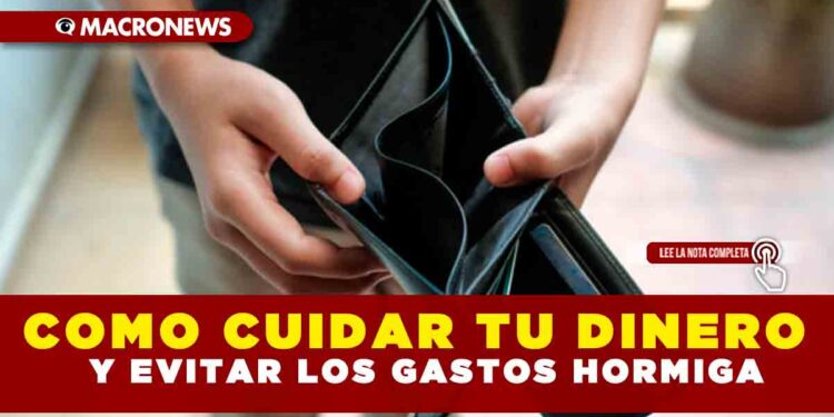 COMO CUIDAR TU DINERO Y EVITAR LOS GASTOS HORMIGA
