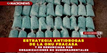 ESTRATEGIA ANTIDROGAS DE LA ONU FRACASA Y ES DENUNCIADA POR ORGANIZACIONES NO GUBERNAMENTALES