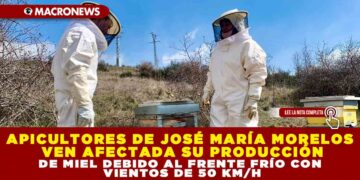 APICULTORES DE JOSÉ MARÍA MORELOS VEN AFECTADA SU PRODUCCIÓN DE MIEL DEBIDO AL FRENTE FRÍO CON VIENTOS DE 50 KM/H