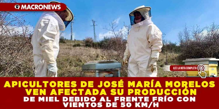 APICULTORES DE JOSÉ MARÍA MORELOS VEN AFECTADA SU PRODUCCIÓN DE MIEL DEBIDO AL FRENTE FRÍO CON VIENTOS DE 50 KM/H