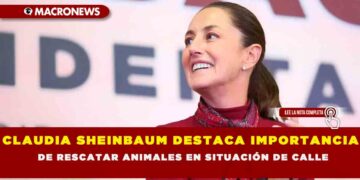 CLAUDIA SHEINBAUM DESTACA IMPORTANCIA DE RESCATAR ANIMALES EN SITUACIÓN DE CALLE