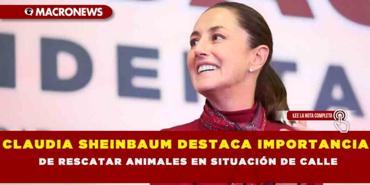 CLAUDIA SHEINBAUM DESTACA IMPORTANCIA DE RESCATAR ANIMALES EN SITUACIÓN DE CALLE