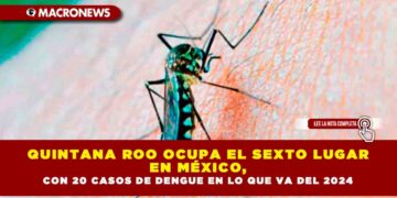 QUINTANA ROO OCUPA EL SEXTO LUGAR EN MÉXICO, CON 20 CASOS DE DENGUE EN LO QUE VA DEL 2024