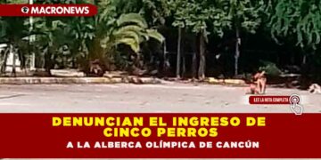DENUNCIAN EL INGRESO DE CINCO PERROS A LA ALBERCA OLÍMPICA DE CANCÚN