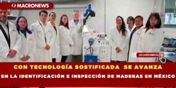 CON TECNOLOGÍA SOSTIFICADA  SE AVANZA EN LA IDENTIFICACIÓN E INSPECCIÓN DE MADERAS EN MÉXICO