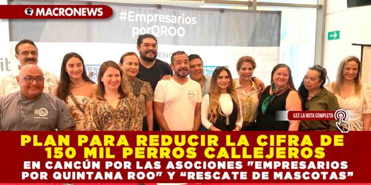 PLAN PARA REDUCIR LA CIFRA DE 150 MIL PERROS CALLEJEROS EN CANCÚN POR LAS ASOCIONES «EMPRESARIOS POR QUINTANA ROO» Y RESCATE DE MASCOTAS