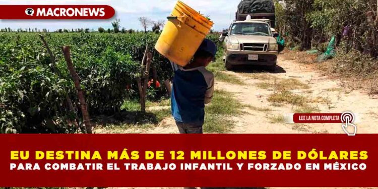EU DESTINA MÁS DE 12 MILLONES DE DÓLARES PARA COMBATIR EL TRABAJO INFANTIL Y FORZADO EN MÉXICO