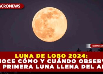 LUNA DE LOBO 2024: CONOCE CÓMO Y CUÁNDO OBSERVAR LA PRIMERA LUNA LLENA DEL AÑO