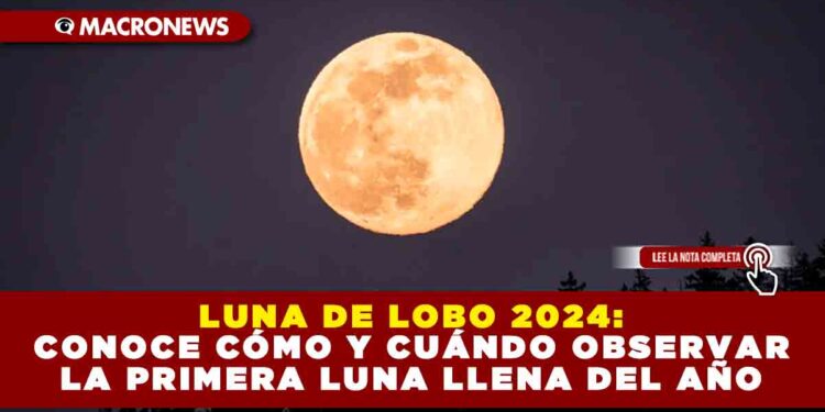 LUNA DE LOBO 2024: CONOCE CÓMO Y CUÁNDO OBSERVAR LA PRIMERA LUNA LLENA DEL AÑO