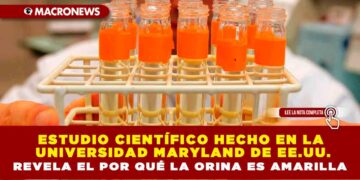 ESTUDIO CIENTÍFICO HECHO EN LA UNIVERSIDAD MARYLAND DE EE.UU. REVELA EL POR QUÉ LA ORINA ES AMARILLA