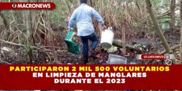 PARTICIPARON 2 MIL 500 VOLUNTARIOS EN LIMPIEZA DE MANGLARES DURANTE EL 2023