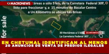 EN CHETUMAL IDENTIFICAN AL MENOS 20 ANUNCIOS DE VENTA DE PREDIOS ILEGALES