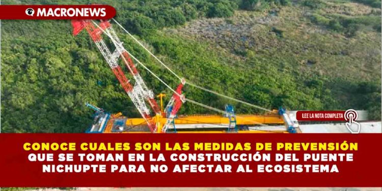 CONOCE CUALES SON LAS MEDIDAS DE PREVENSIÓN QUE SE TOMAN EN LA CONSTRUCCIÓN DEL PUENTE NICHUPTE PARA NO AFECTAR AL ECOSISTEMA