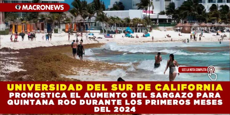 UNIVERSIDAD DEL SUR DE CALIFORNIA PRONOSTICA EL AUMENTO DEL SARGAZO PARA QUINTANA ROO DURANTE LOS PRIMEROS MESES DEL 2024